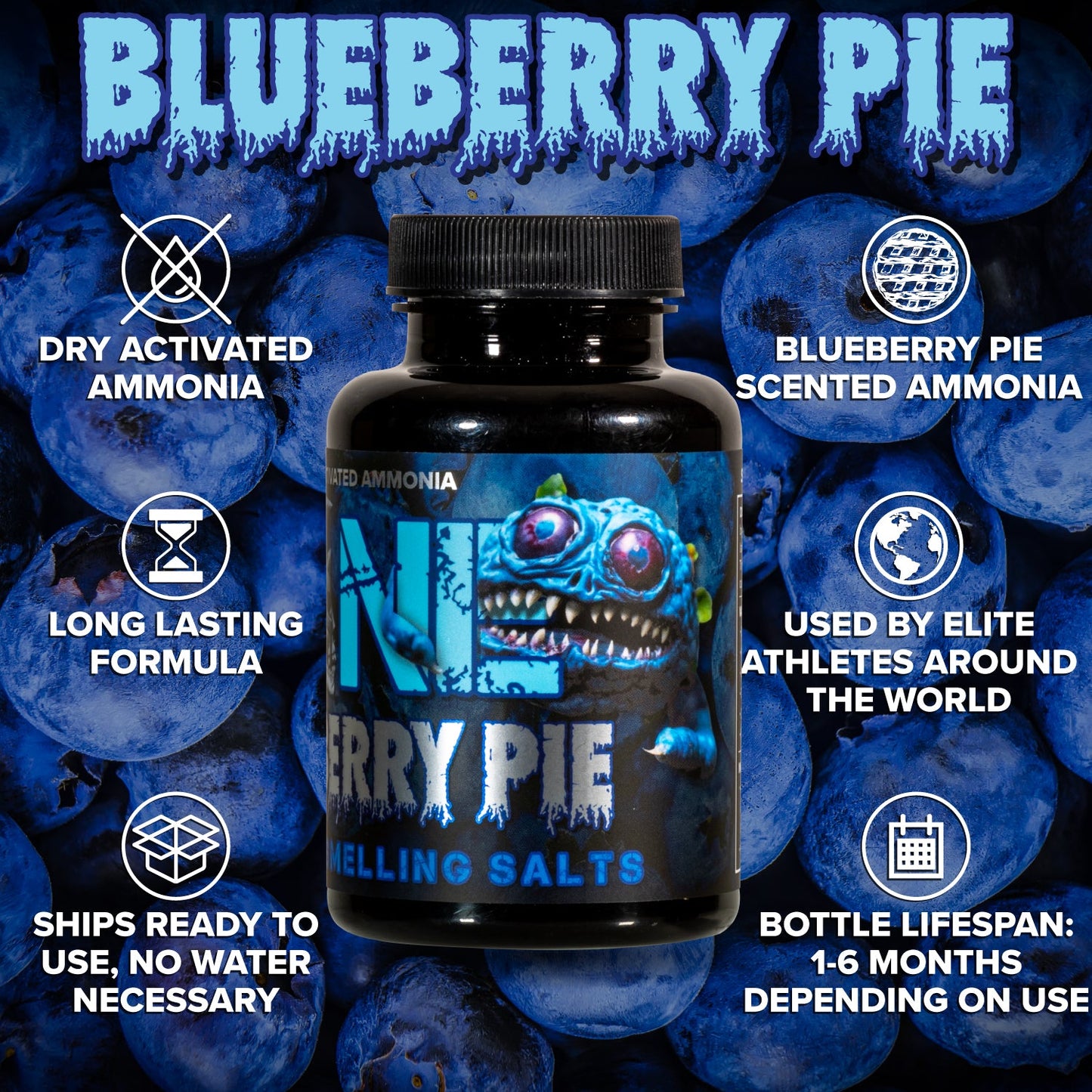 Zone Blueberry Pie